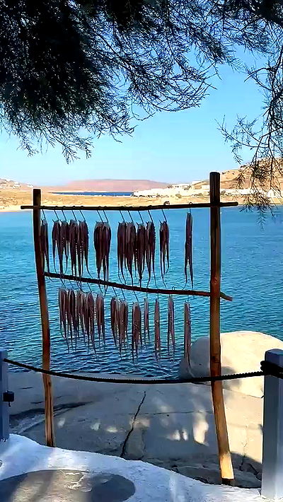 gwendolynceline gwendolynceline archive video