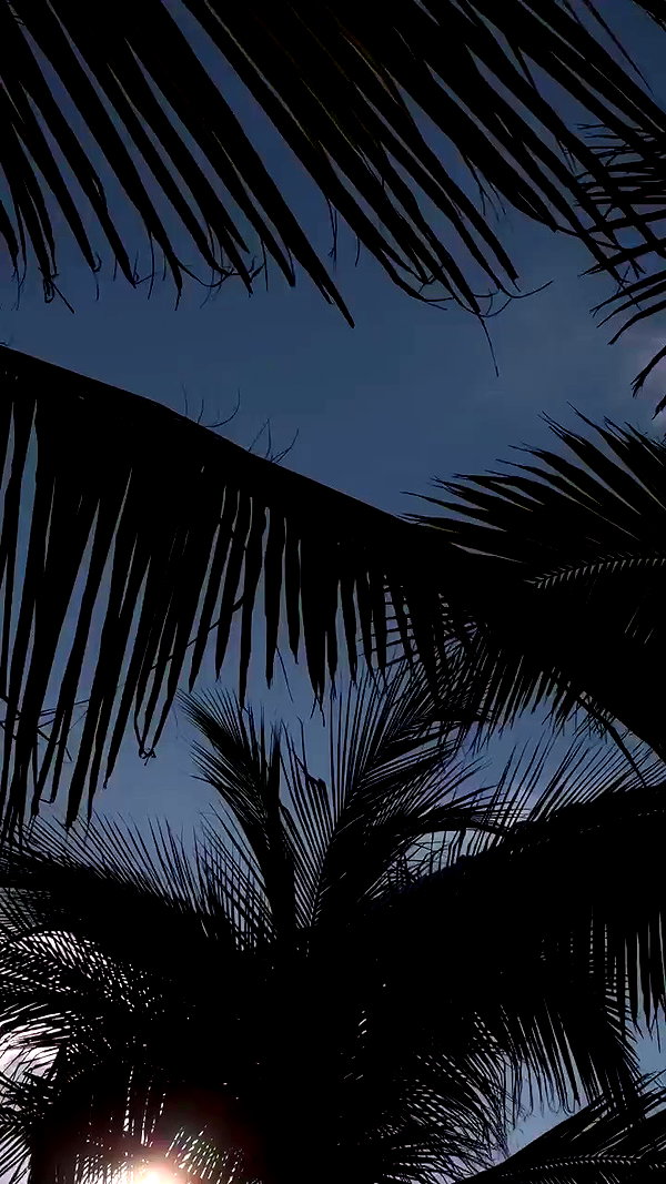 lizakovalenkoo archive video preview