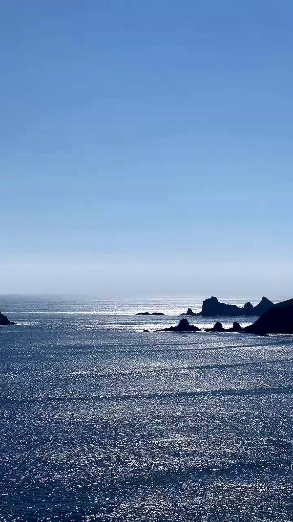 lizakovalenkoo archive video preview
