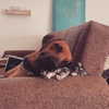 edin.karyn Altpins Profile Picture