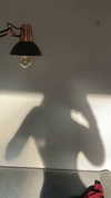 vixenp_ Altpins Profile Picture