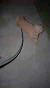 emelye.ender Altpins Profile Picture