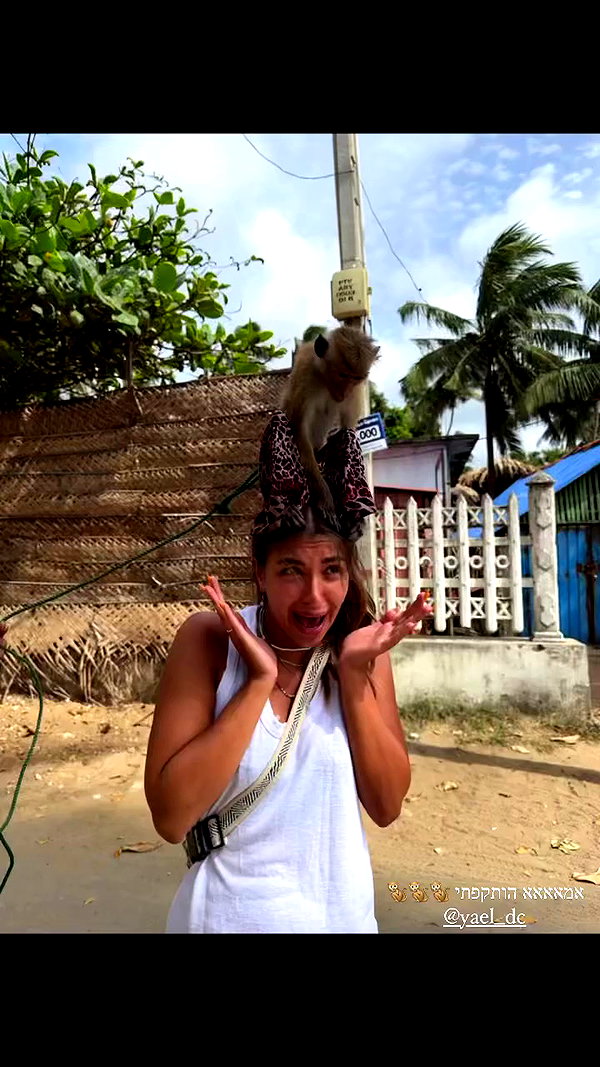 mayan.cohen archive video preview