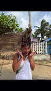 mayan.cohen Altpins Profile Picture