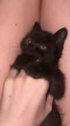 miss_baby007 Altpins Profile Picture