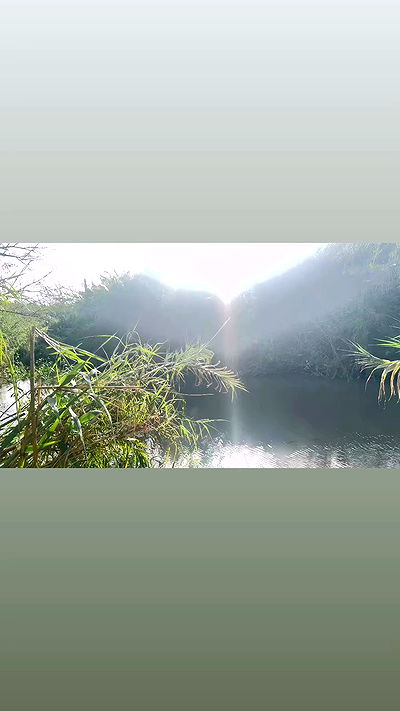 alisa.paigin alisa.paigin archive video