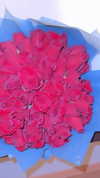 jailyneojeda Altpins Profile Picture
