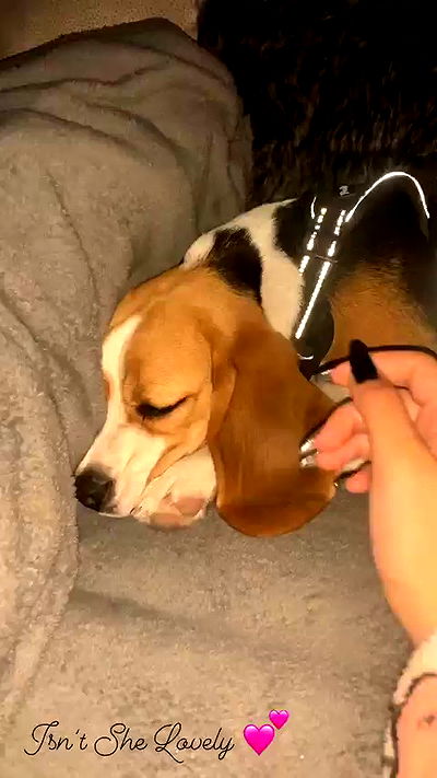 emily.otaku emily.otaku archive video