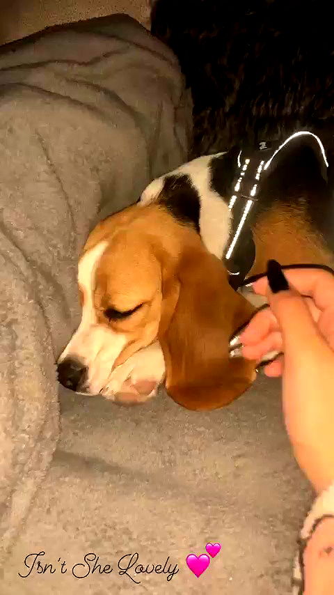 emily.otaku archive video preview