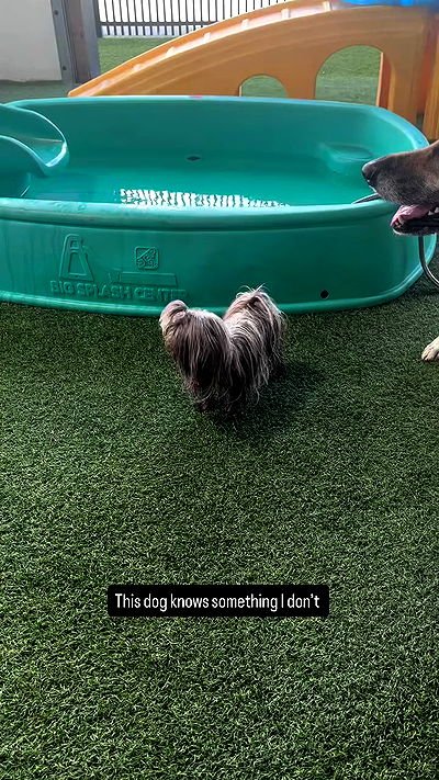 llilbby llilbby archive video