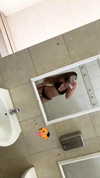 daniella_zeldis Altpins Profile Picture