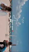 daniella_zeldis Altpins Profile Picture