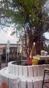 6a1it Altpins Profile Picture