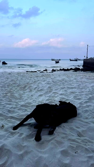 valeria_lukin valeria_lukin archive video