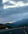 talyadahann Altpins Profile Picture