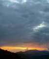 talyadahann Altpins Profile Picture