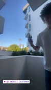 lillywestonn Altpins Profile Picture
