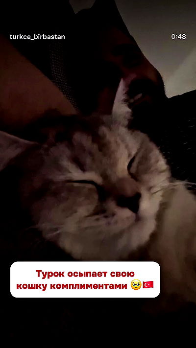 ninja.vi ninja.vi archive video