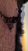 hadas_mayer_ Altpins Profile Picture
