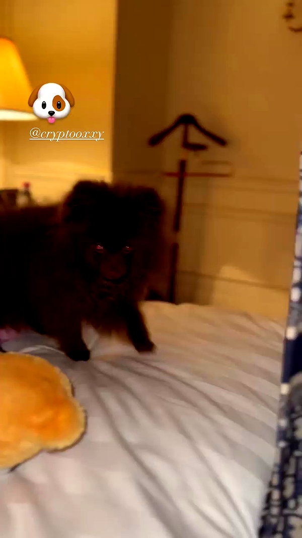 lizakovalenkoo archive video preview
