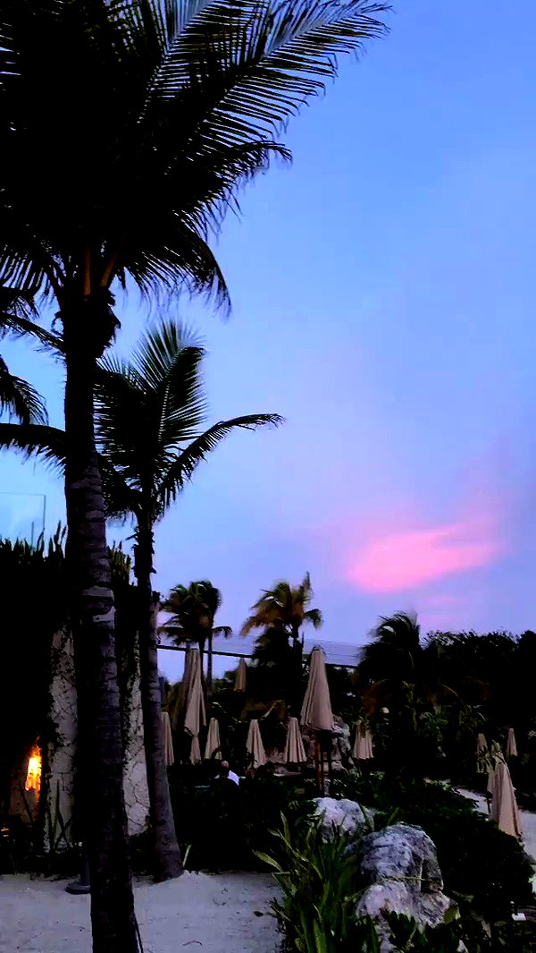 noa_mendel_ archive video preview