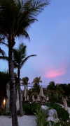 noa_mendel_ Altpins Profile Picture