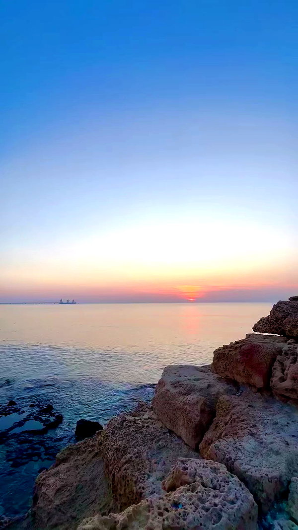 a.shaked_ archive video preview