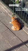 sonya_fisher_ Altpins Profile Picture