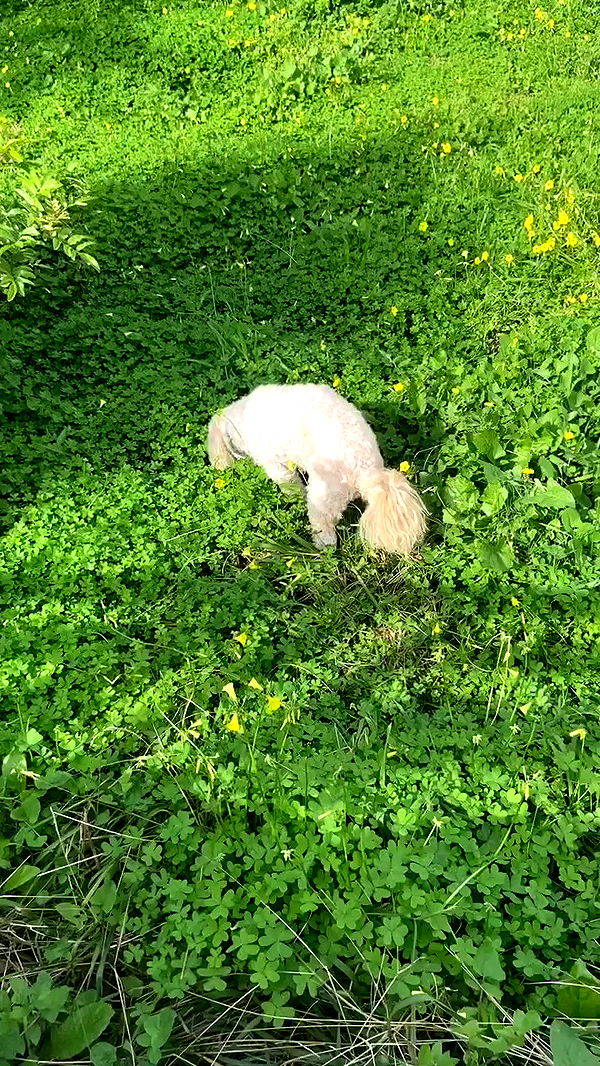 feelbetterinmysweater archive video preview