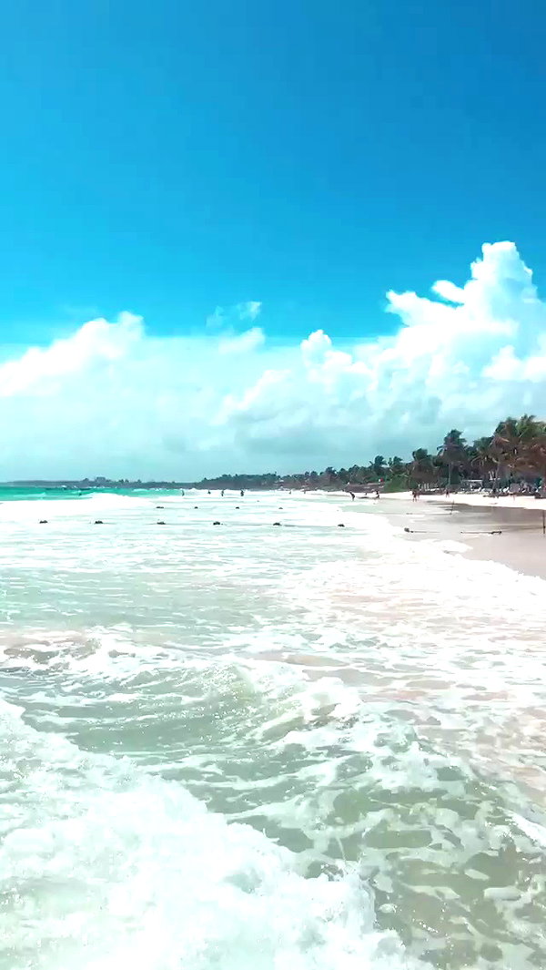 noa_mendel_ archive video preview
