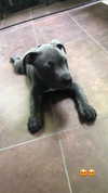greta.m_ Altpins Profile Picture