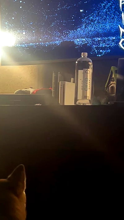 zommmbri zommmbri archive video