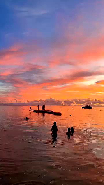 ellamwatts_ ellamwatts_ archive video