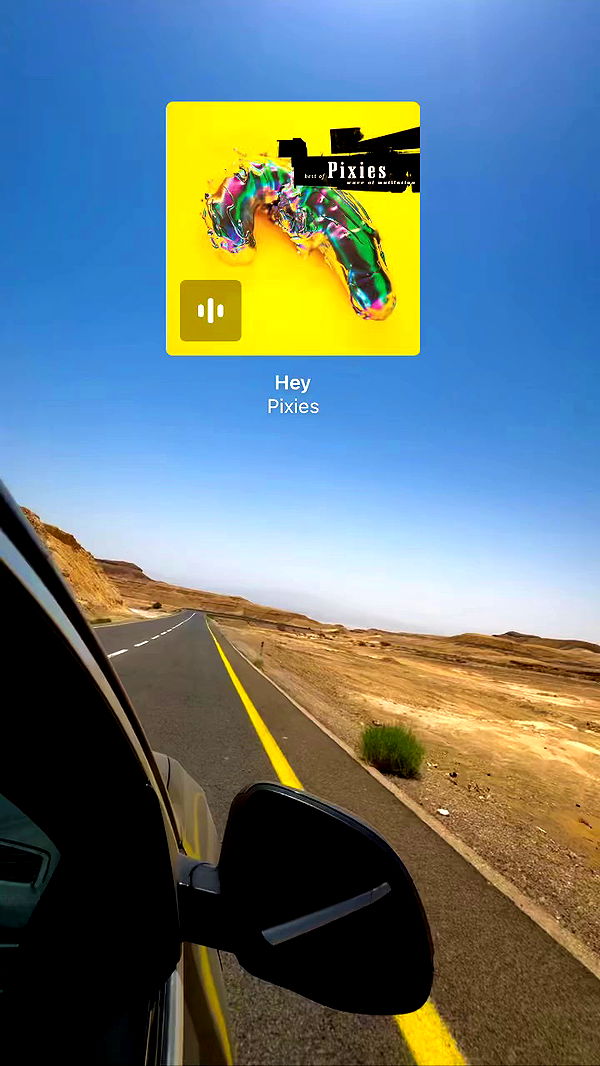 romy_ayalla_lavi archive video preview