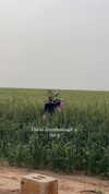 lianaayoun Altpins Profile Picture