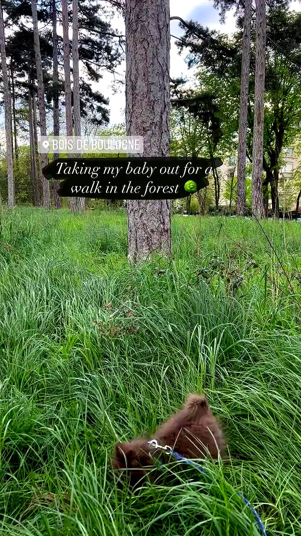 lizakovalenkoo archive video preview