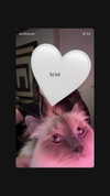 protheme Altpins Profile Picture