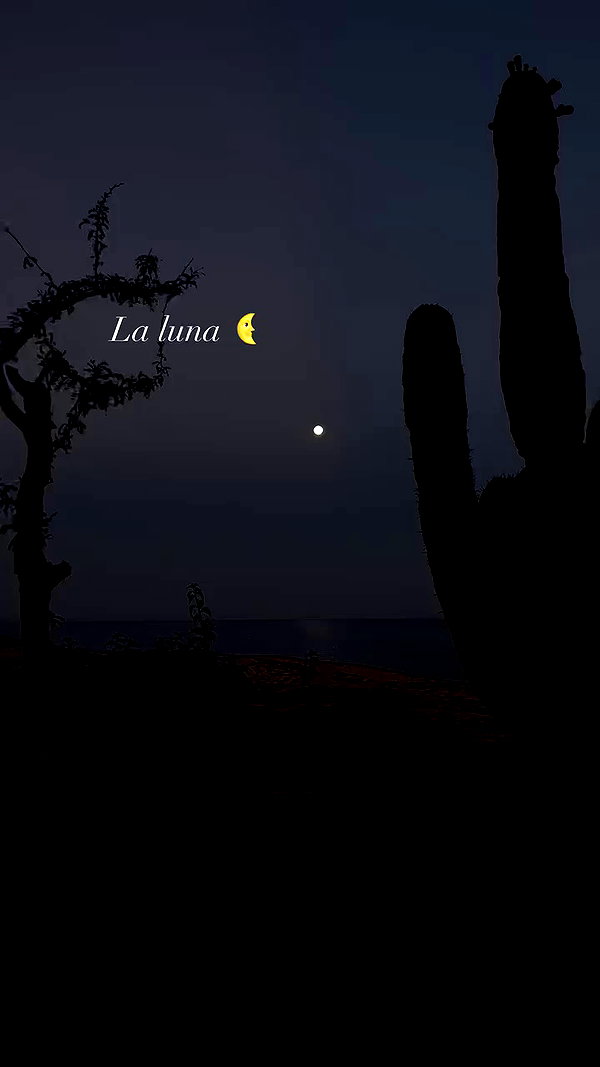 lizakovalenkoo archive video preview