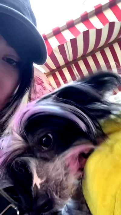 rose_xanne rose_xanne archive video