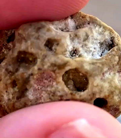 mishel116 mishel116 archive video