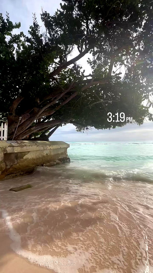 ellie.coldwell archive video preview