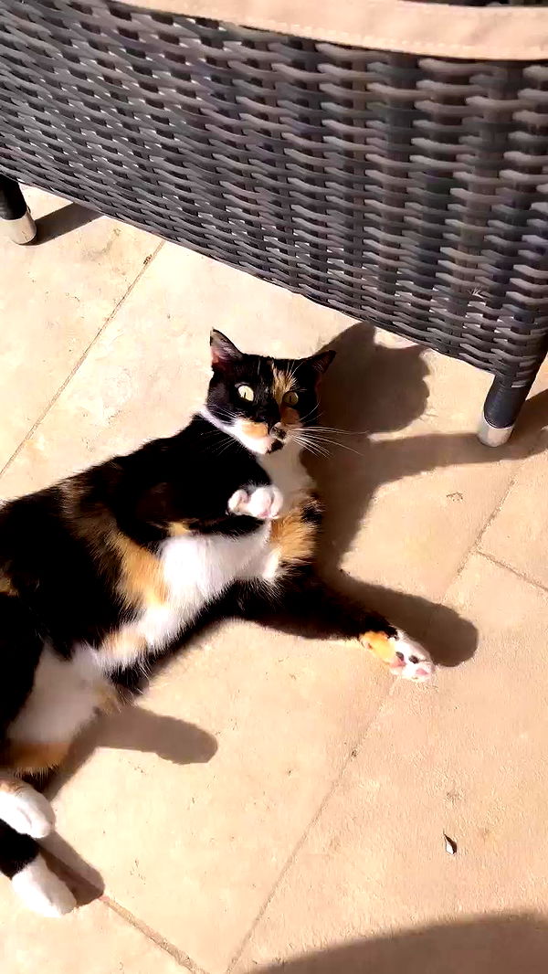 itsilanosh archive video preview