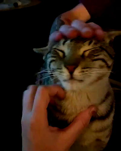 mishel116 mishel116 archive video