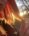 vixenp_ Altpins Profile Picture