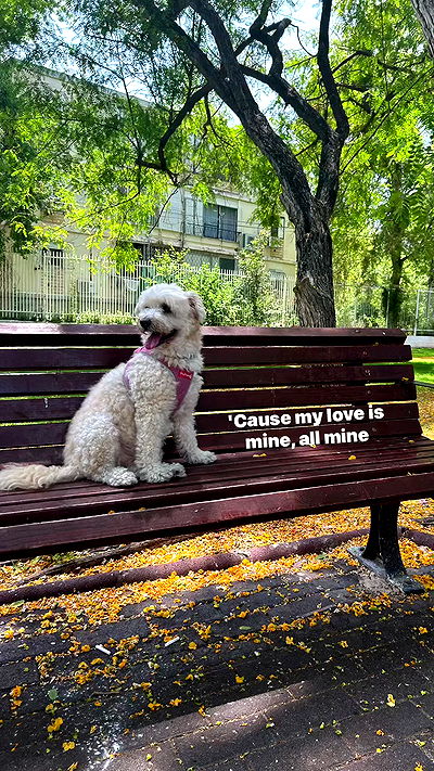 feelbetterinmysweater feelbetterinmysweater archive video