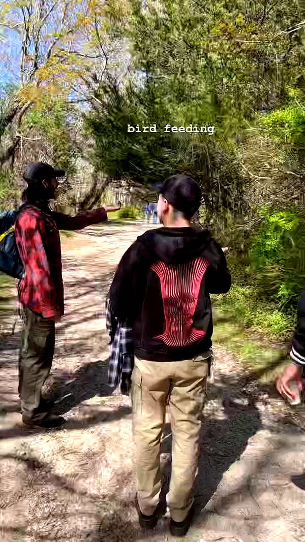 teafl0wer archive video preview