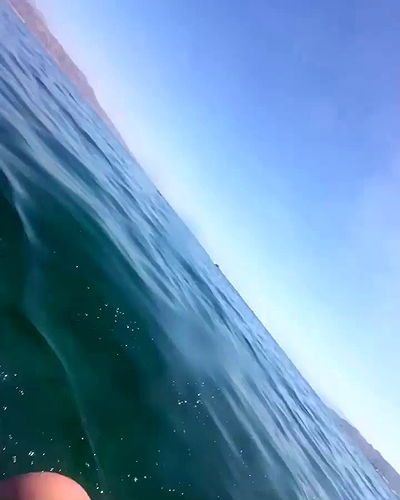 mishel116 mishel116 archive video