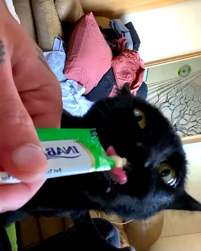 mishel116 mishel116 archive video