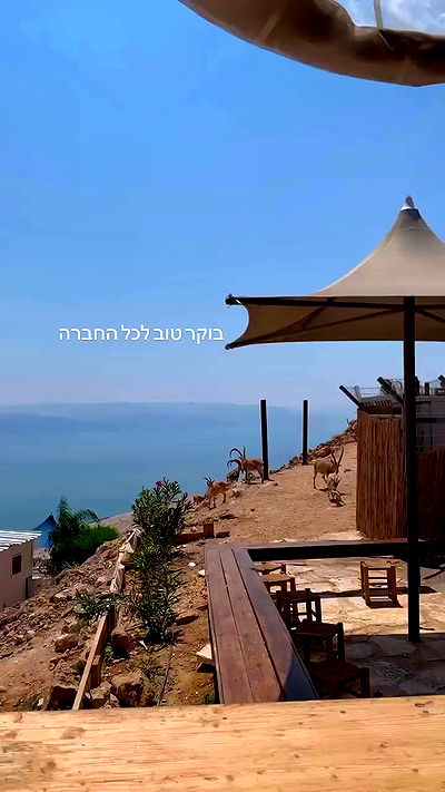 yasmin_kb yasmin_kb archive video