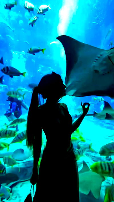 itsilanosh itsilanosh archive video